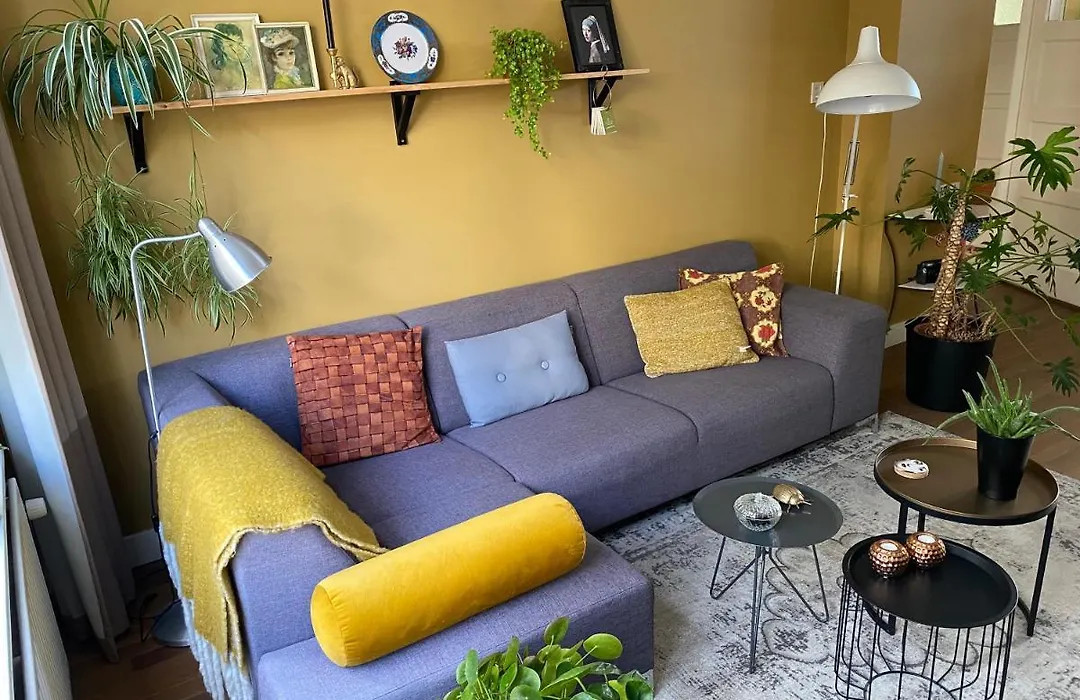 Juuls B&B-1